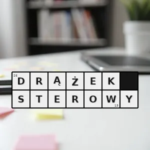Hasło krzyżówkowe element sterowniczy zainstalowany w kabinie statku powietrznego służący do sterowania poprzecznego i podłużnego płatowca - drążek sterowy – rozwiązanie, synonimy, podpowiedzi i definicje krzyżówkowe